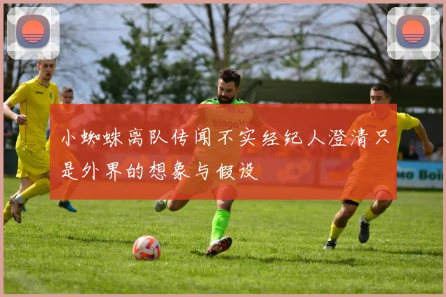 小蜘蛛离队传闻不实经纪人澄清只是外界的想象与假设